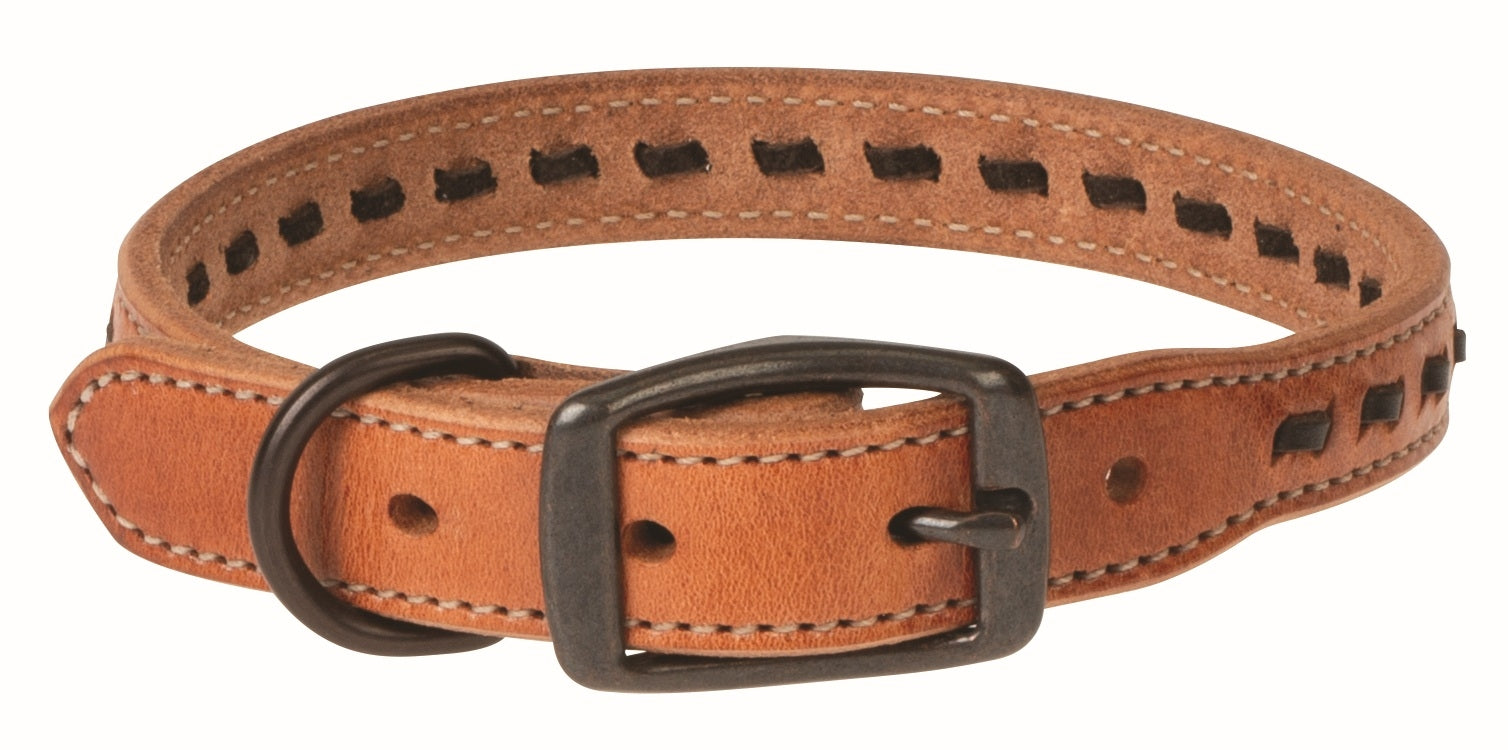 Weaver Buckstitch Dog Collar