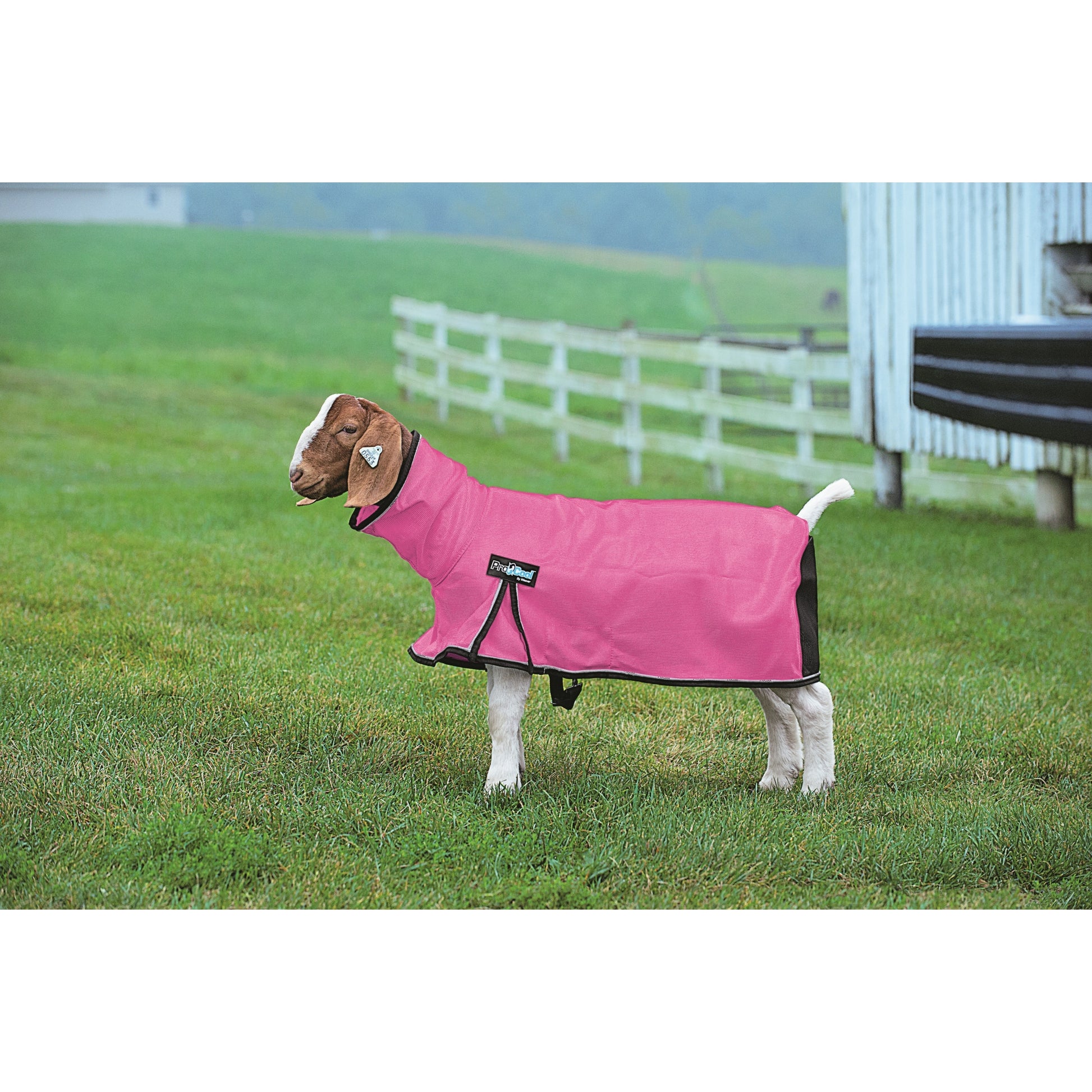 Weaver ProCool Goat Blanket with Reflective Piping