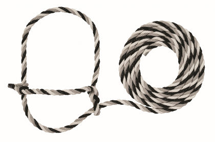 Weaver Cattle Rope Halter