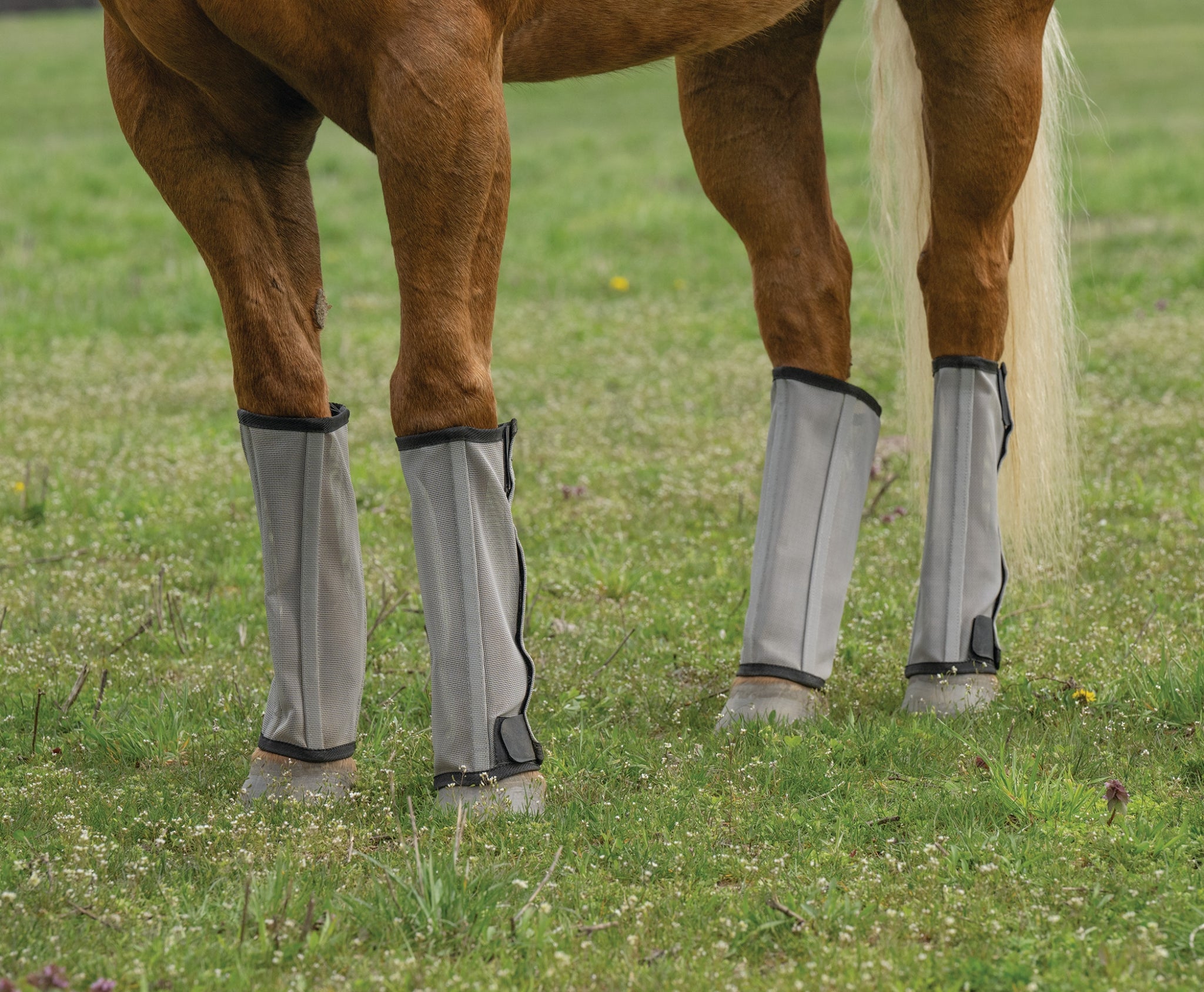 Weaver Horse Fly Boots - Set of 4