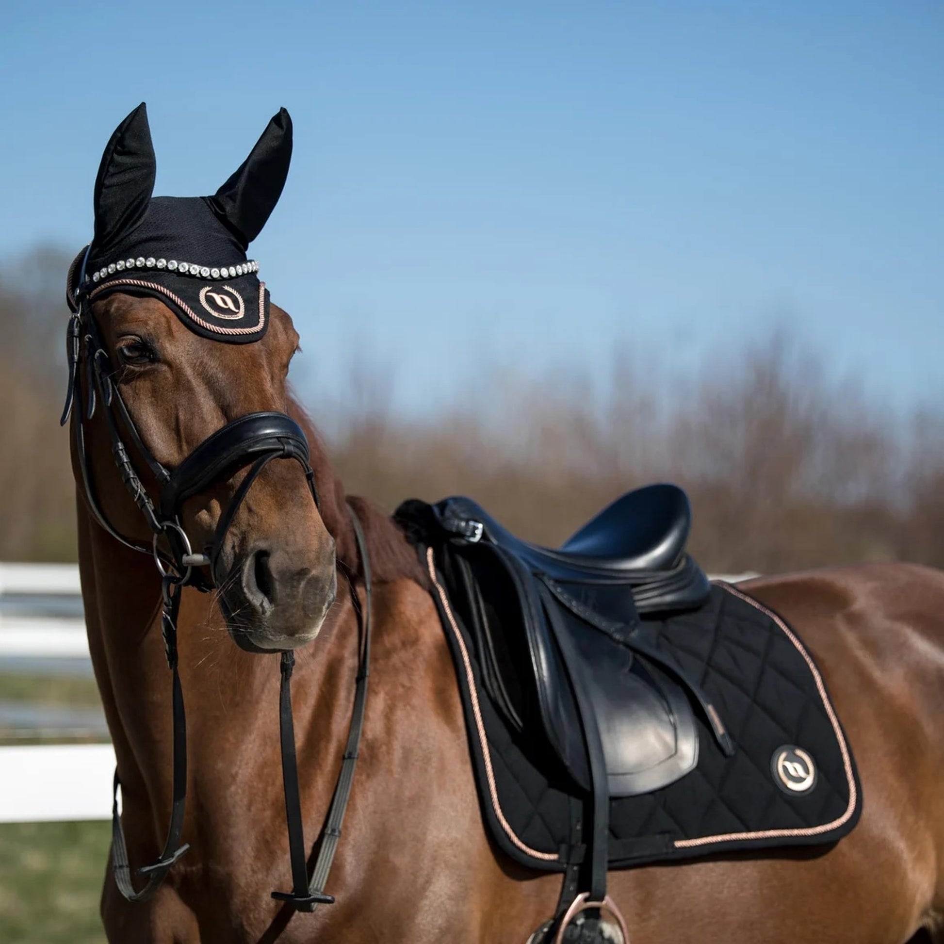 Back on Track Haze Collection Dressage Pad