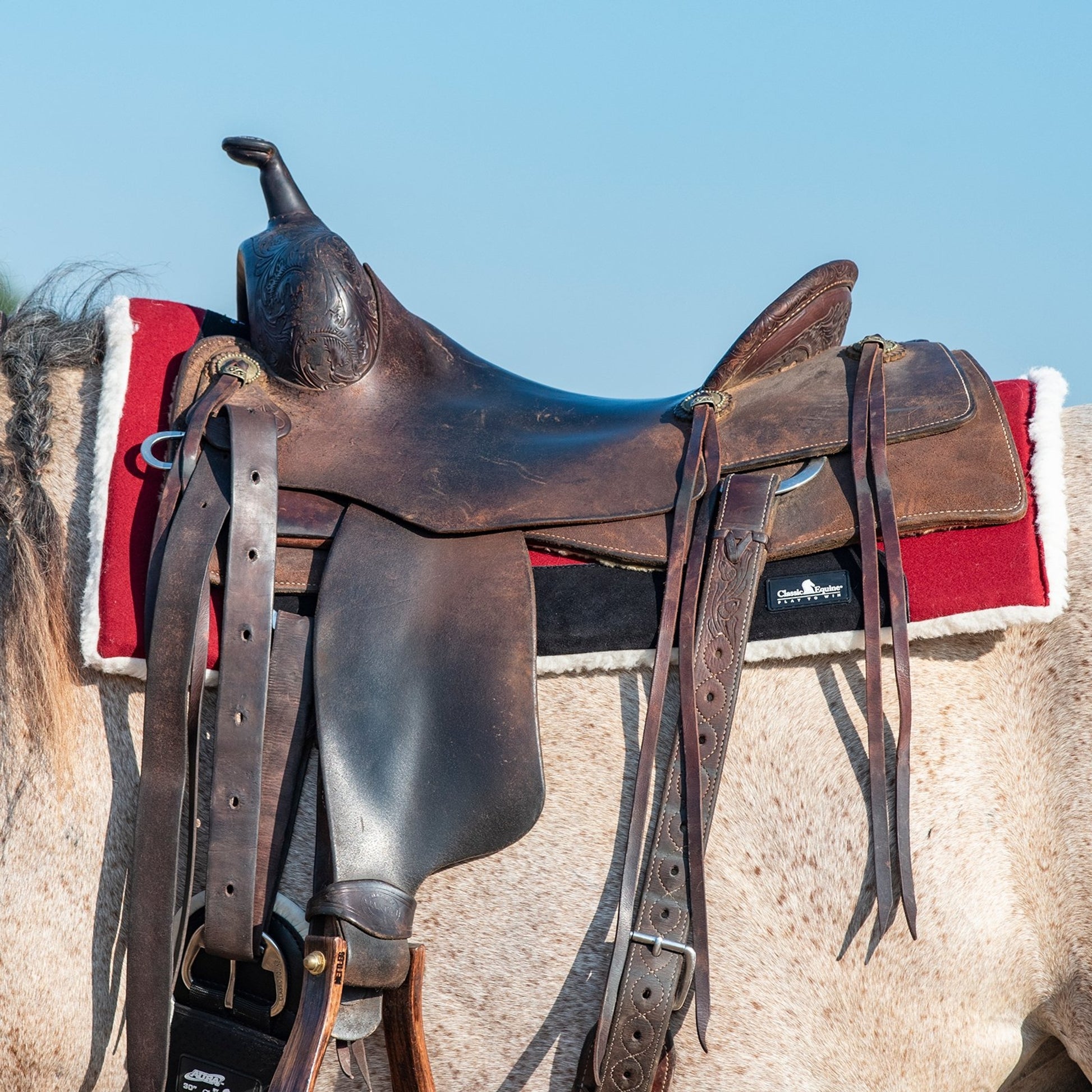 Classic Equine Performance Trainer Felt Pad Top