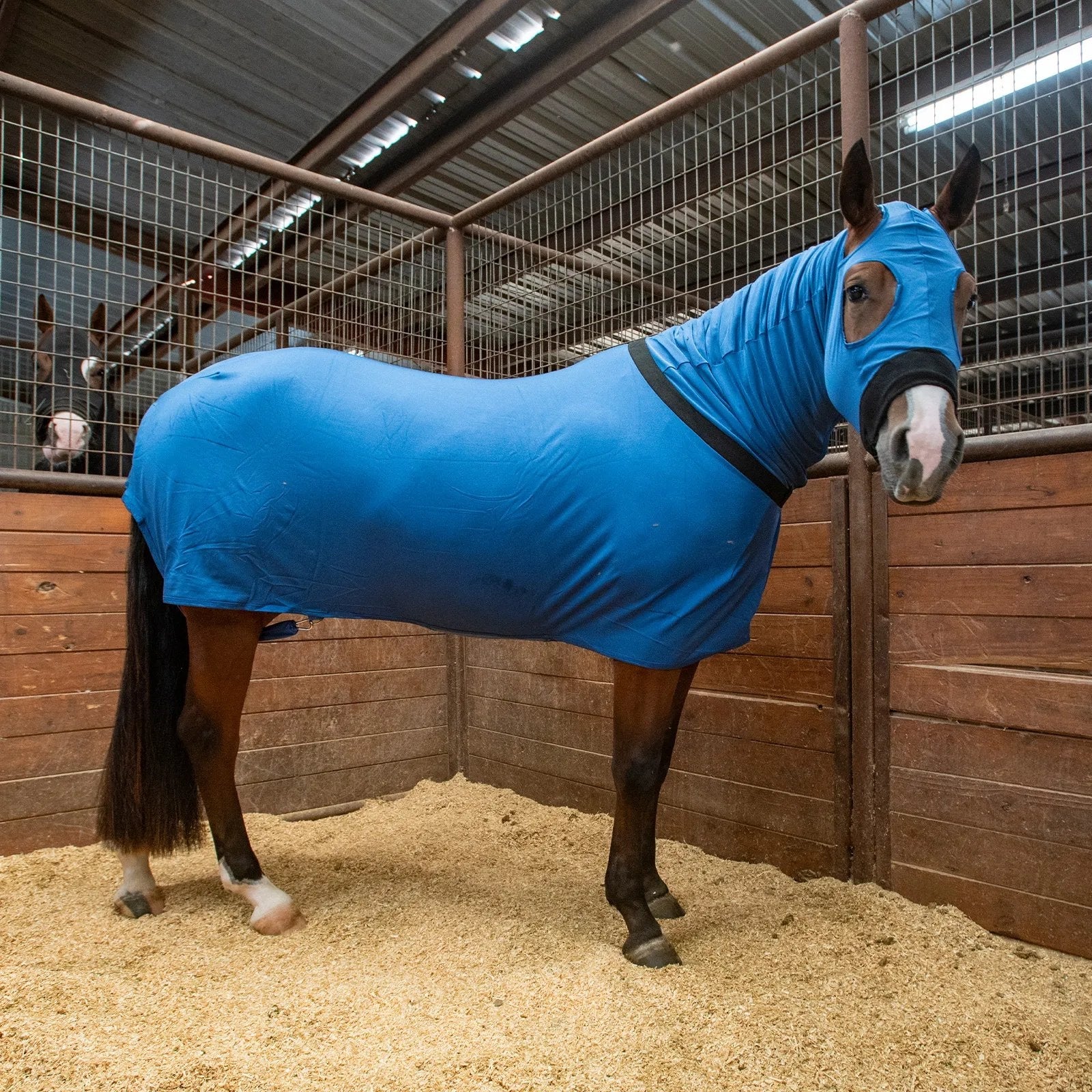 Classic Equine Full-Body Slinky