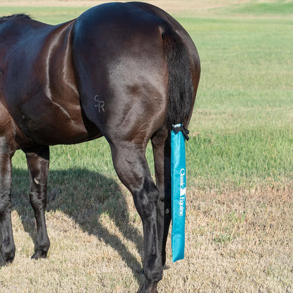 Classic Equine Slick Tail Bag