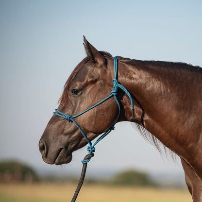 Classic Equine Rope Halter and 9 Foot Lead Rope