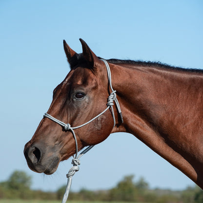 Classic Equine Rope Halter and 9 Foot Lead Rope