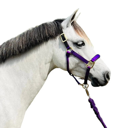 Chafeless Breakaway Halter
