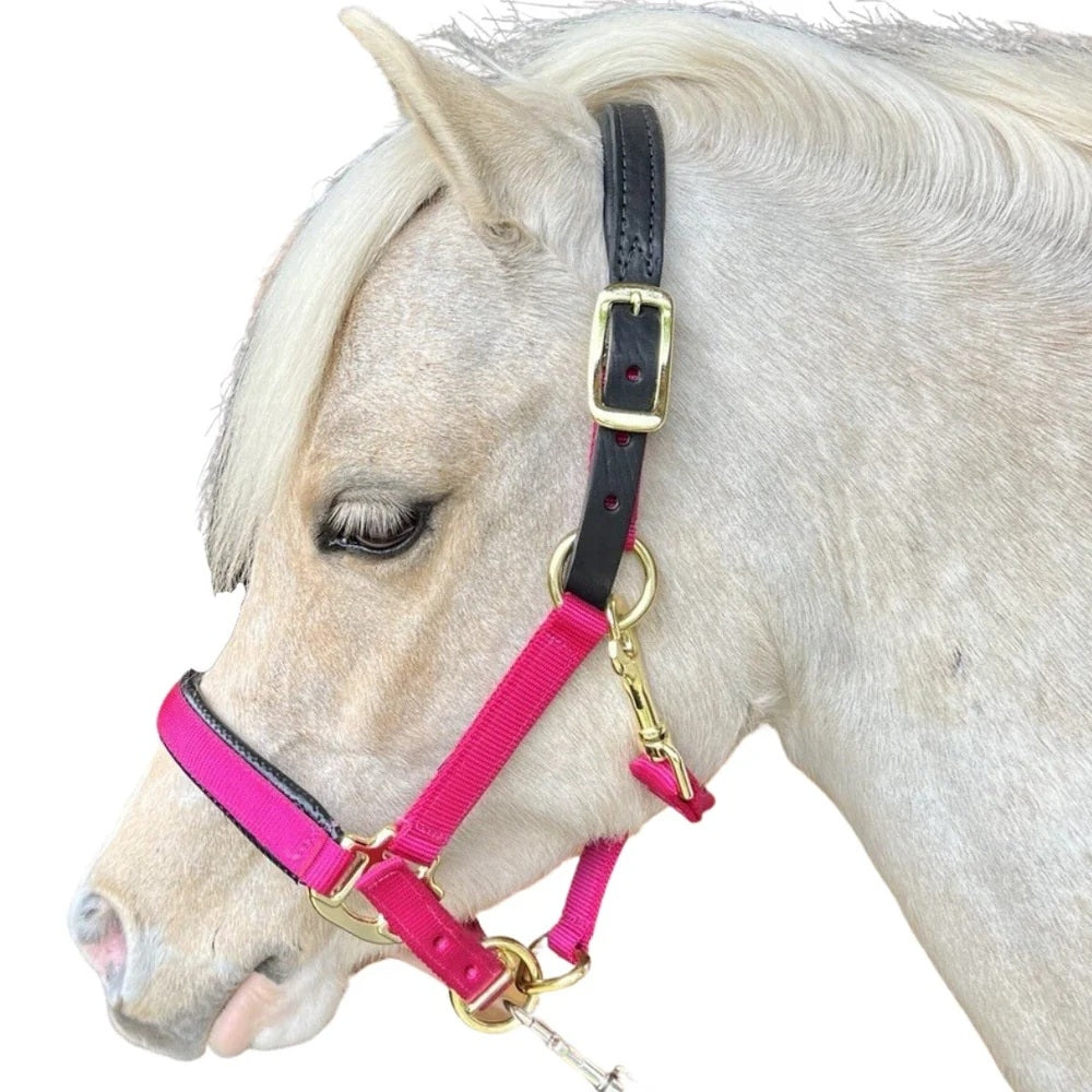Chafeless Breakaway Halter