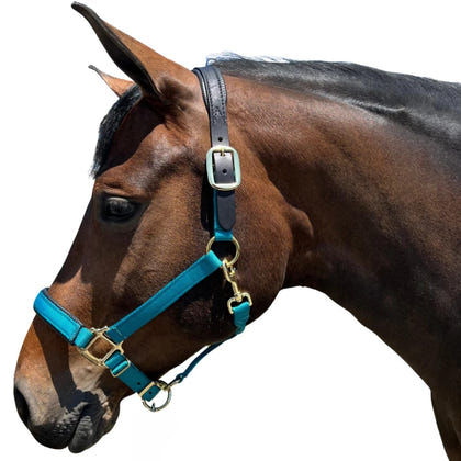 Chafeless Breakaway Halter
