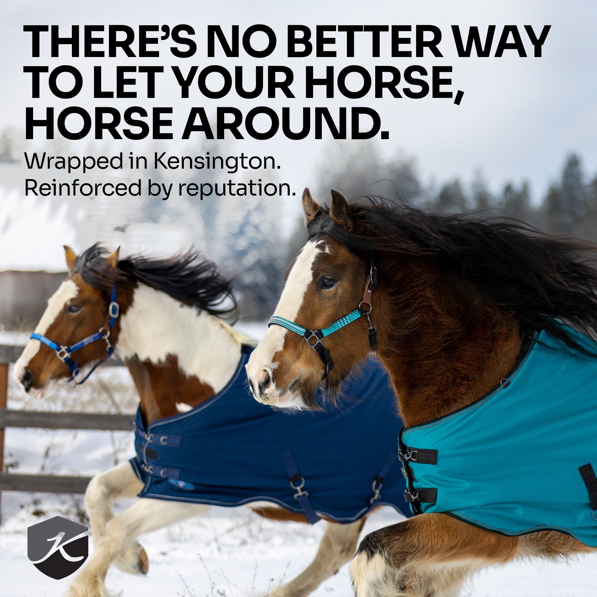 Kensington Horse 1200D SureFit Turnout 300g