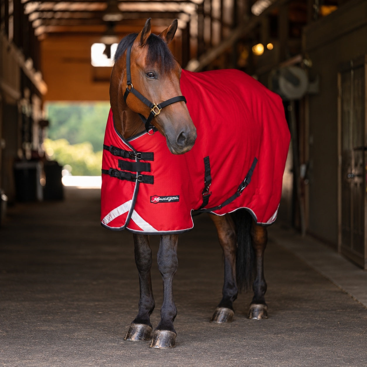 Kensington Horse 1200D SureFit Turnout 180g