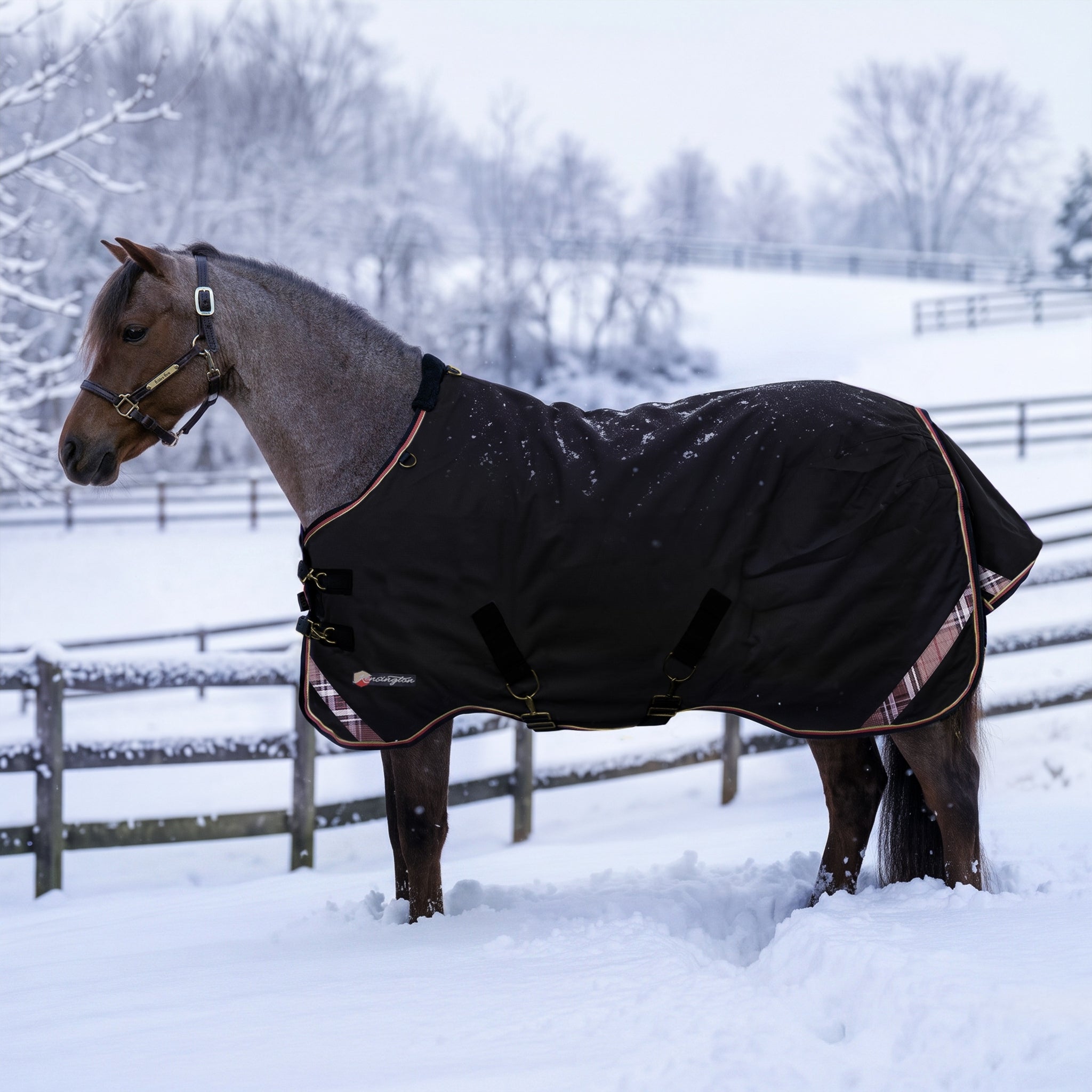 Kensington Pony 1200D SureFit Turnout 300g