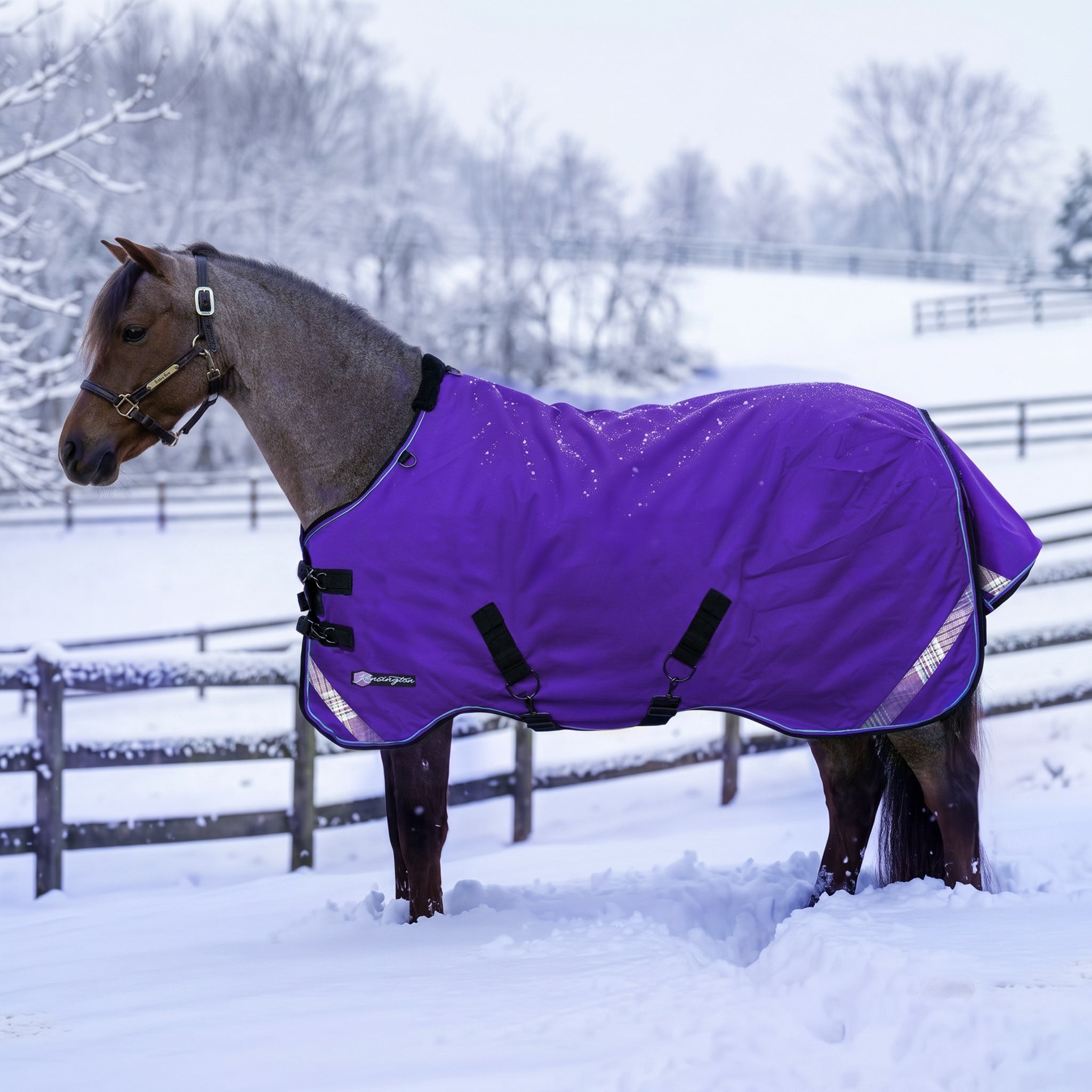 Kensington Horse 1200D SureFit Turnout 300g