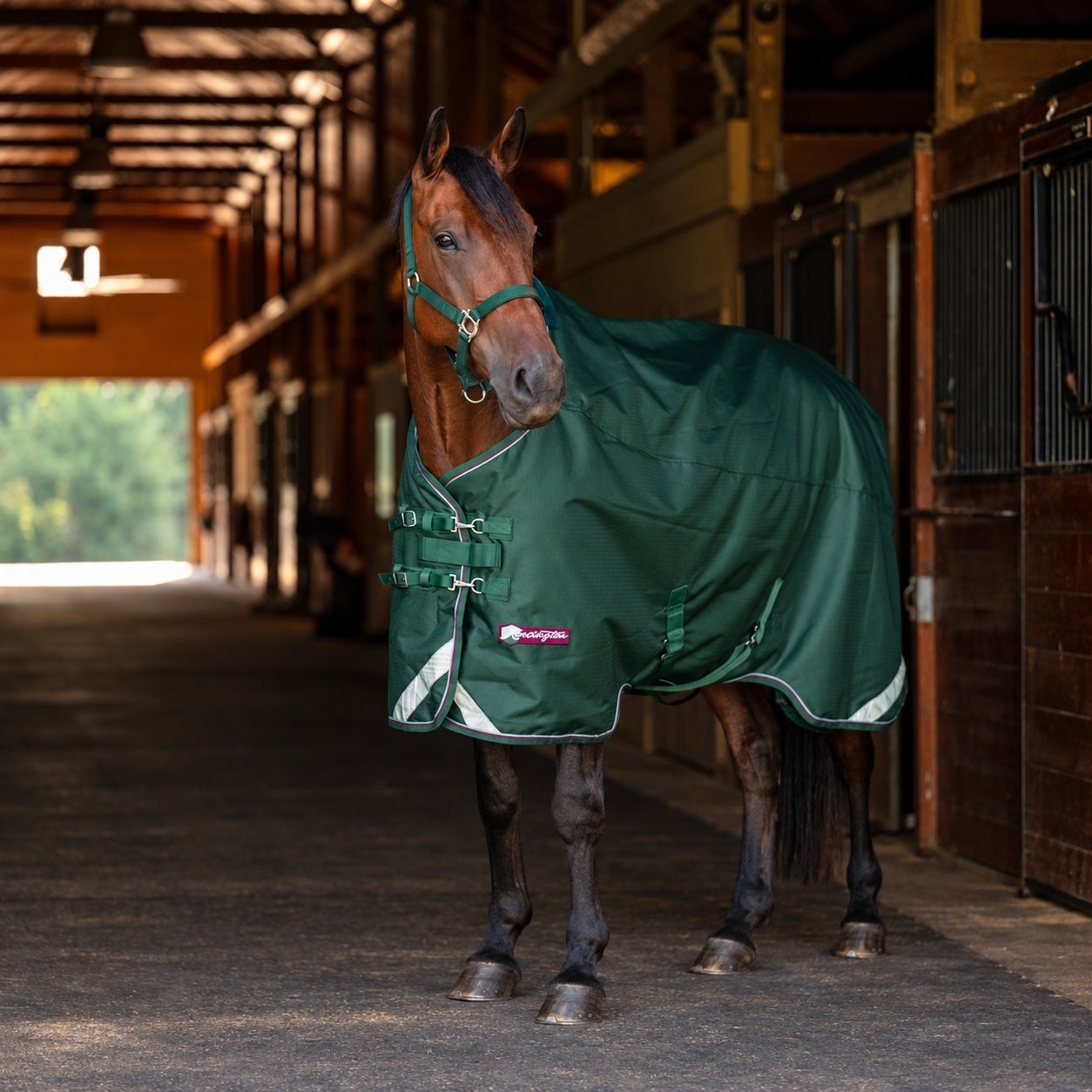 Kensington Horse 1200D EuroCut Turnout 180g