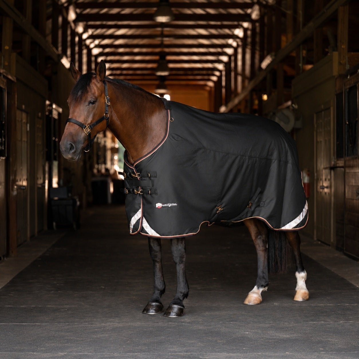 Kensington Horse 1200D EuroCut Turnout 180g