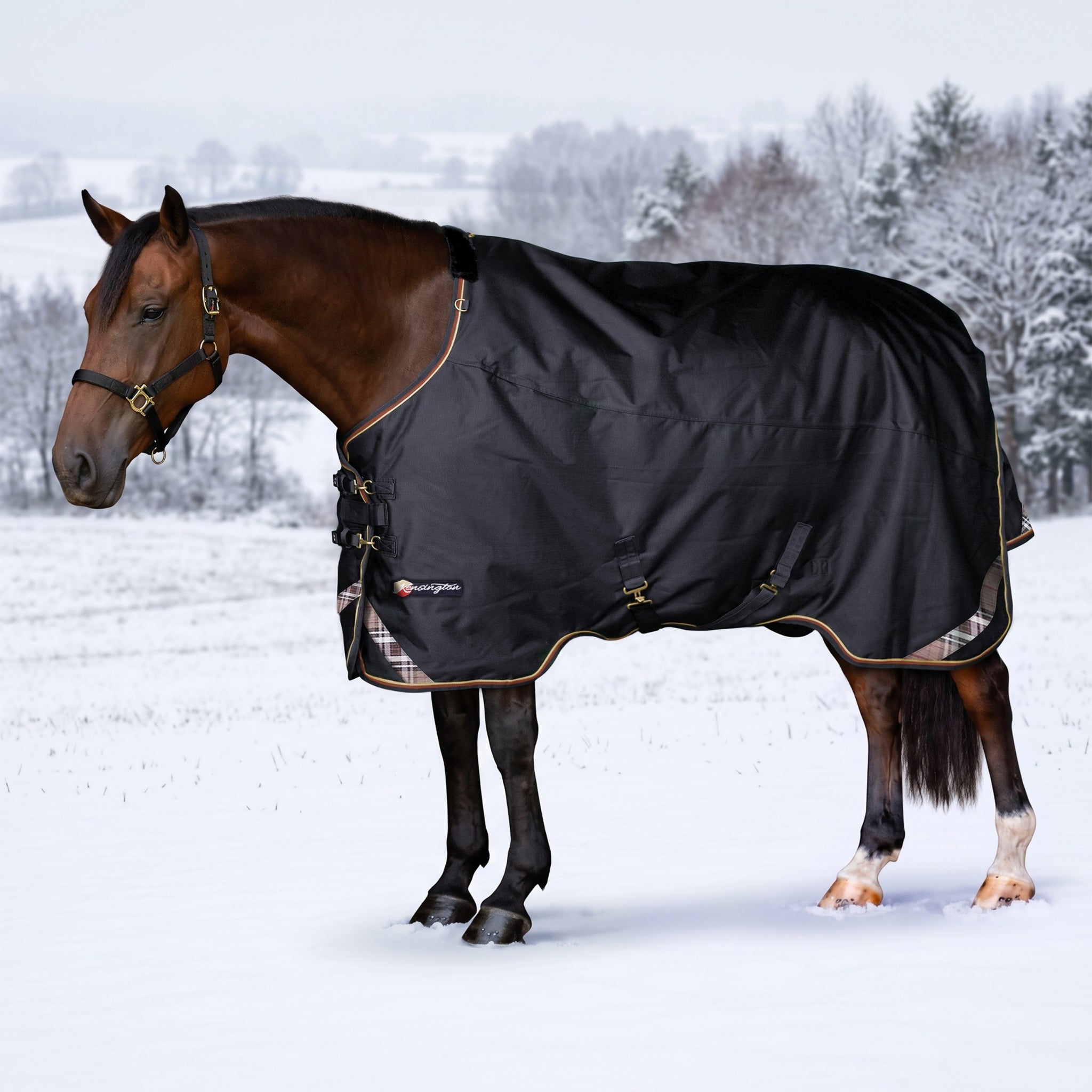 Kensington Horse 1200D EuroCut Turnout 180g