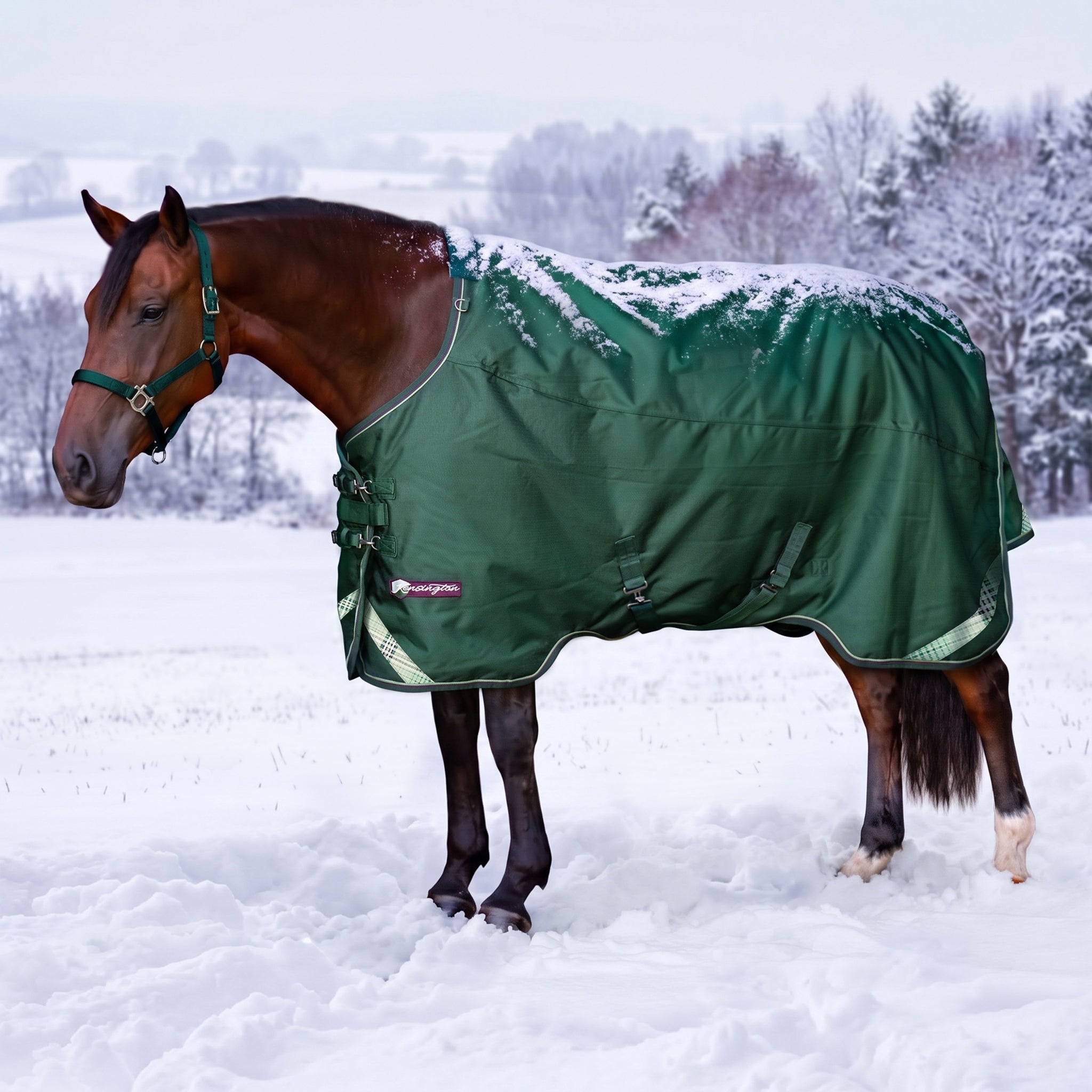 Kensington Horse 1200D EuroCut Turnout 300g
