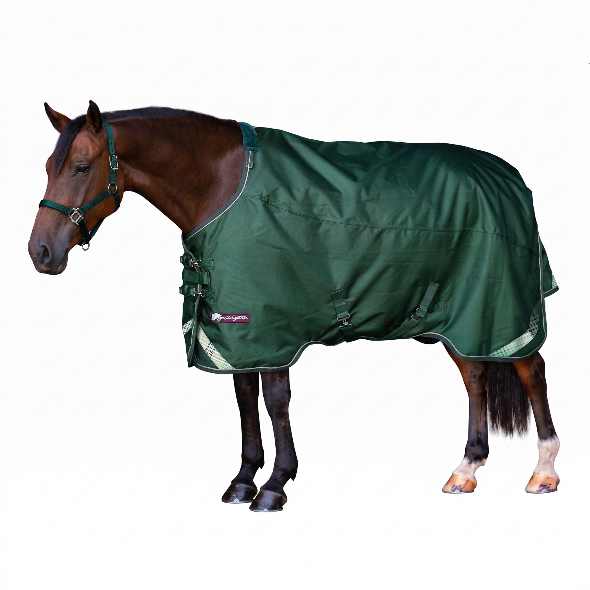 Kensington Horse 1200D EuroCut Turnout 300g