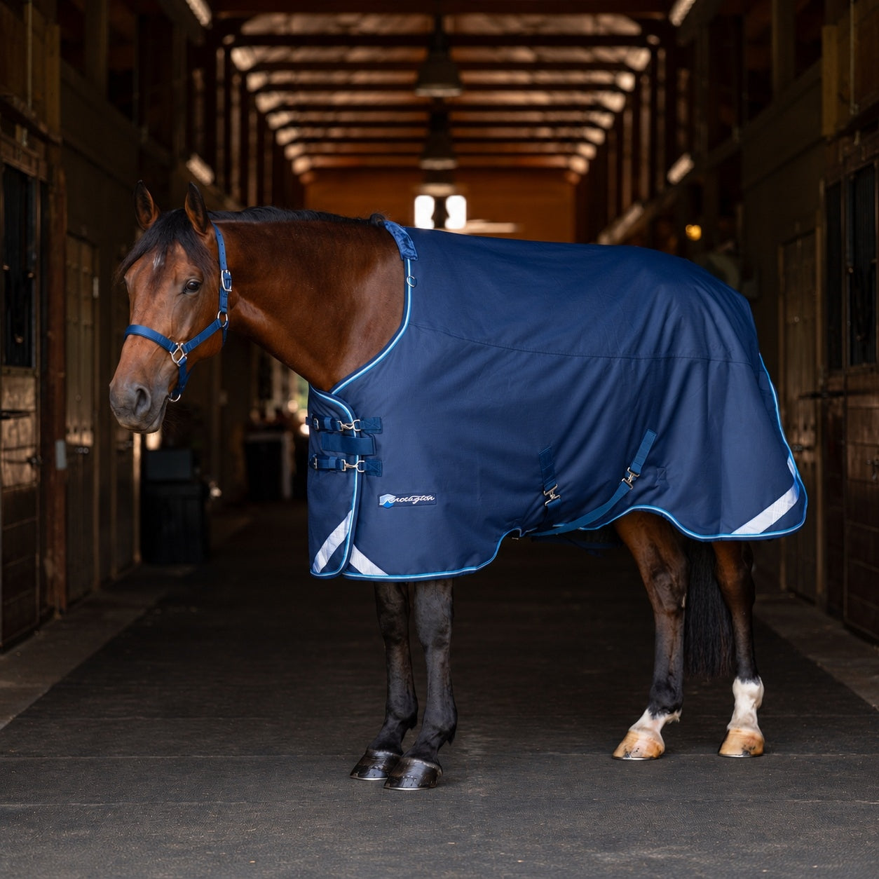 Kensington Horse 1200D EuroCut Turnout 300g
