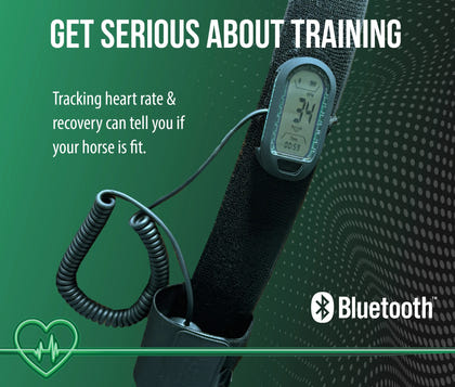 Horsepal Training Belt Kit