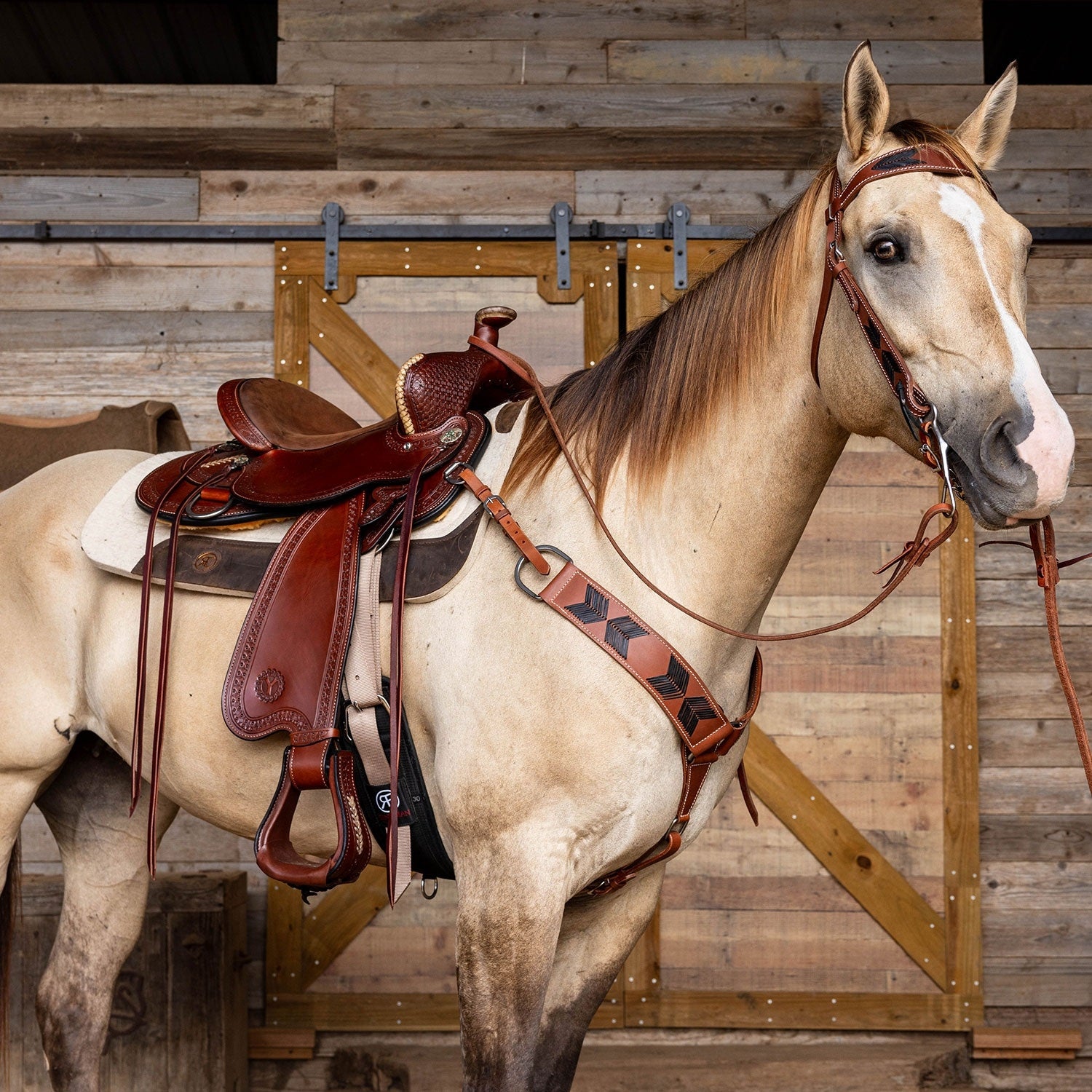 Circle Y River Valley Flex2 Trail Saddle