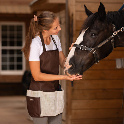 Kensington Grooming Apron Blue Ice Plaid