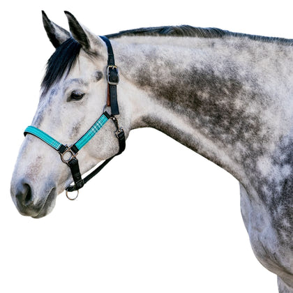 Kensington Breakaway Halter