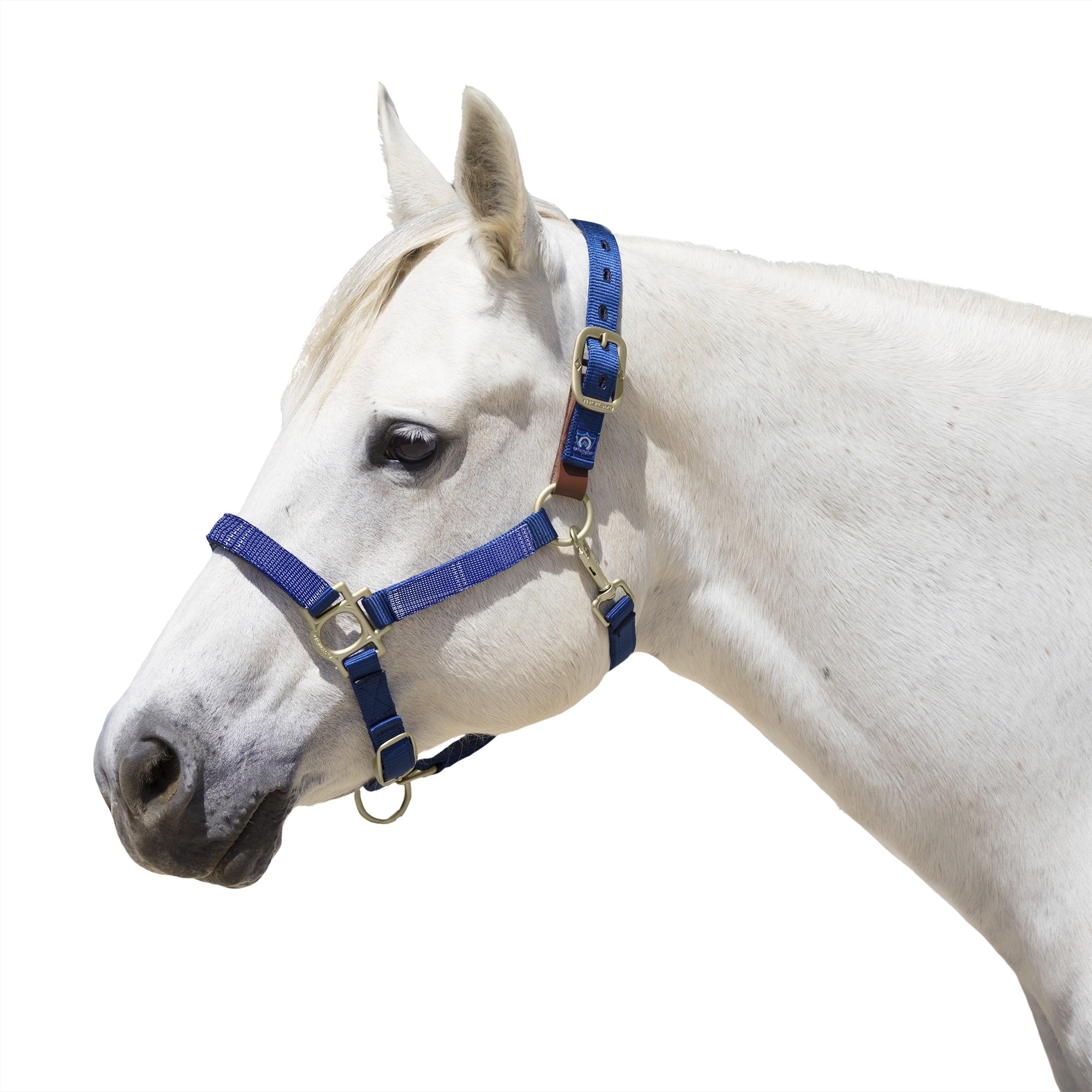 Kensington Breakaway Halter