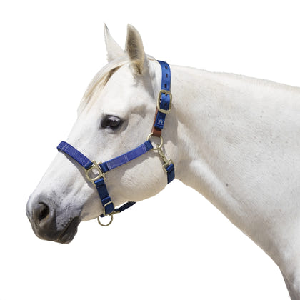 Kensington Breakaway Halter