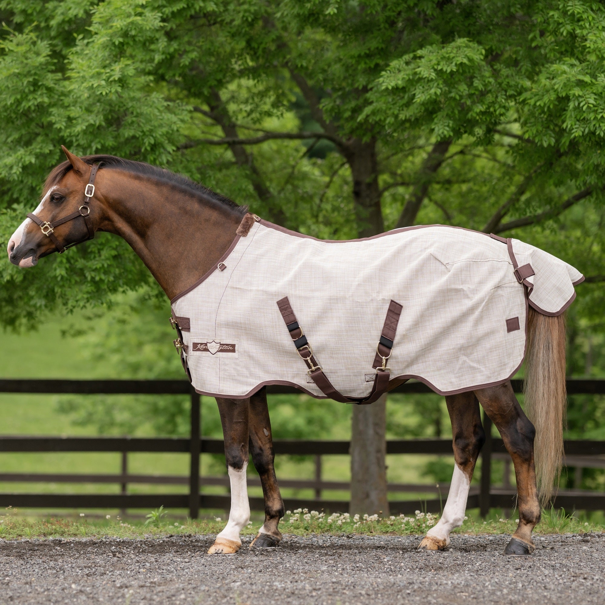 Kensington 73% UV Pony Protective Fly Sheet