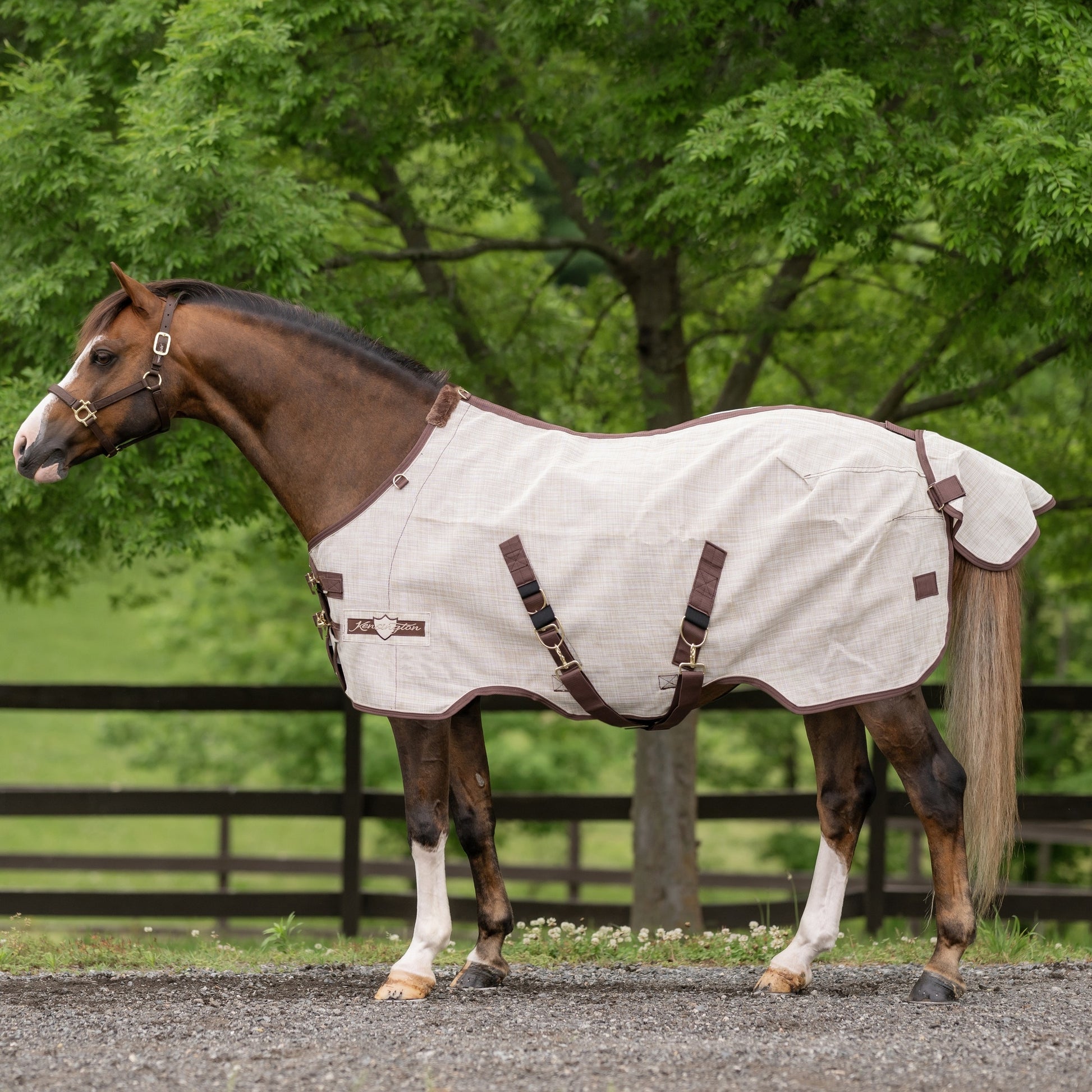 Kensington 73% UV Pony Protective Fly Sheet