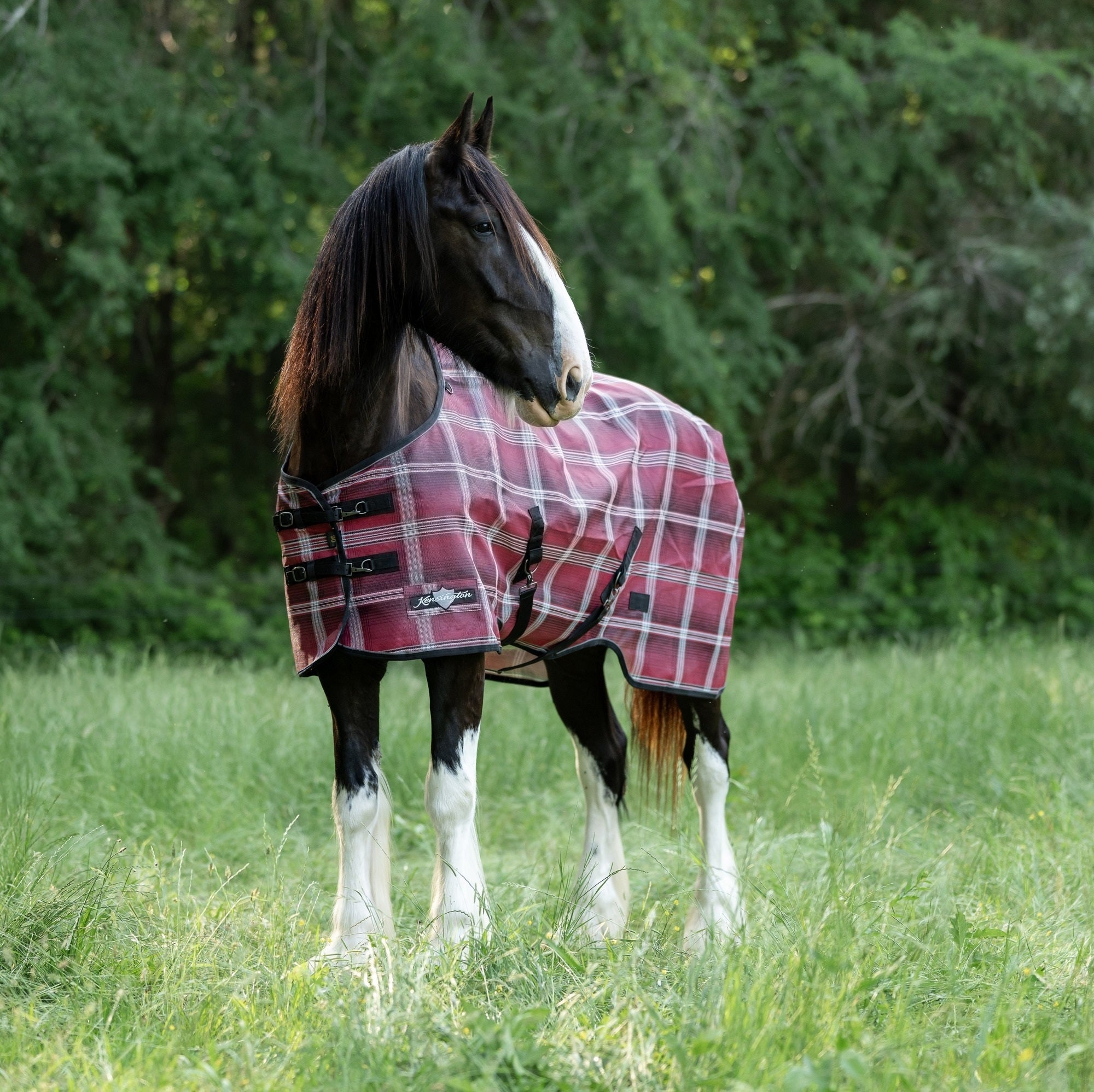 Kensington 73% UV Draft Protective Fly Sheet