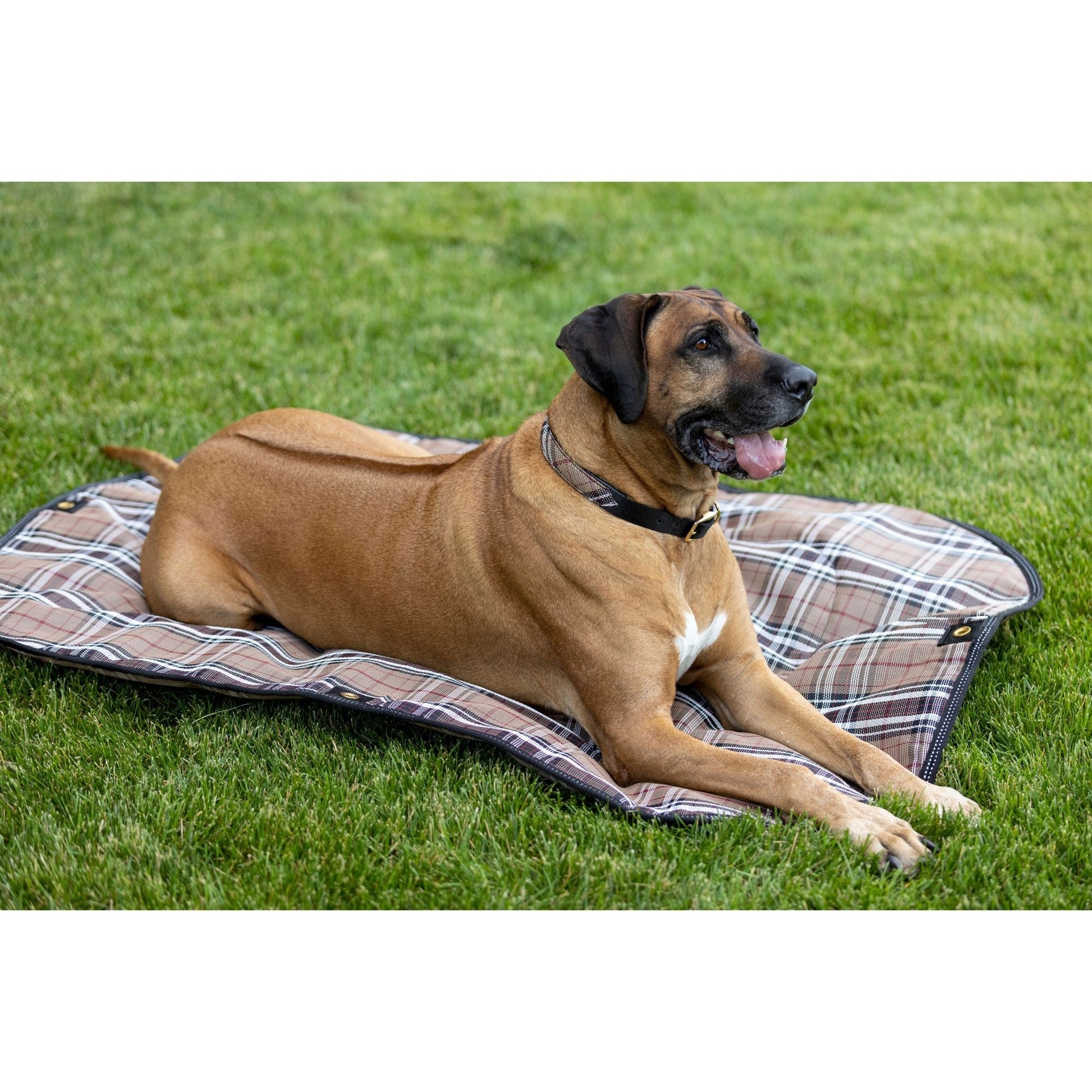 Kensington Outdoor Dog Camping Pad