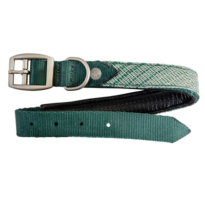 Kensington Nylon Dog Collar with Padding