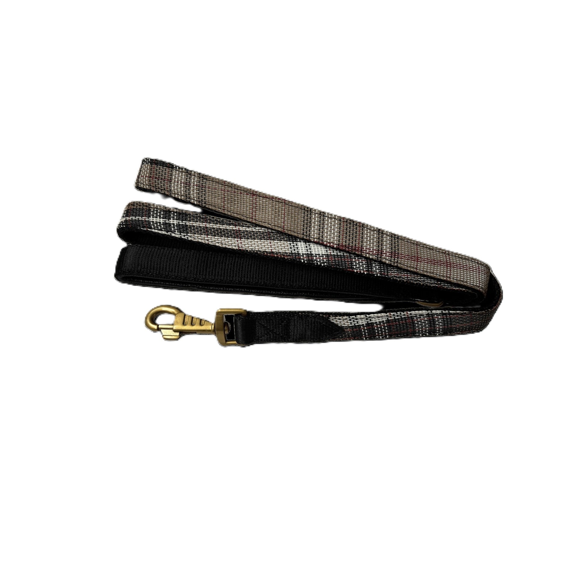 Kensington Nylon Dog Leash with Padding