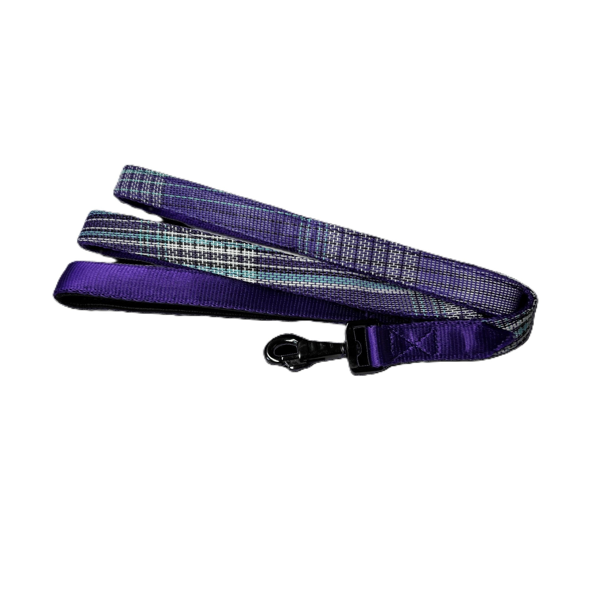 Kensington Nylon Dog Leash with Padding