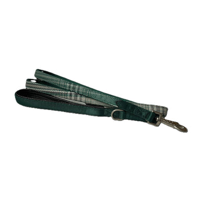 Kensington Nylon Dog Leash with Padding
