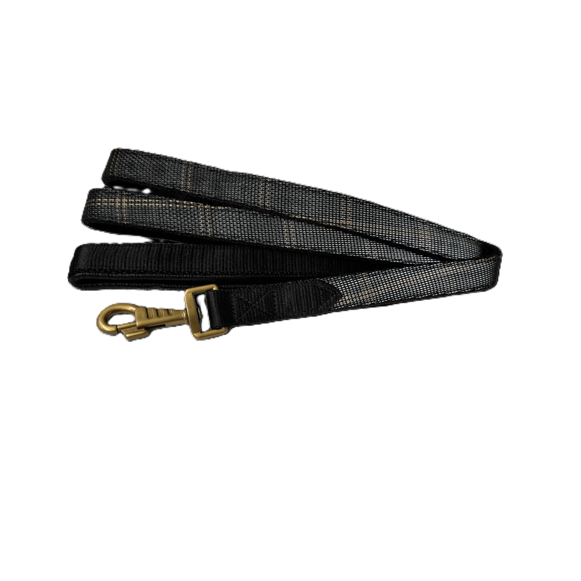 Kensington Nylon Dog Leash with Padding