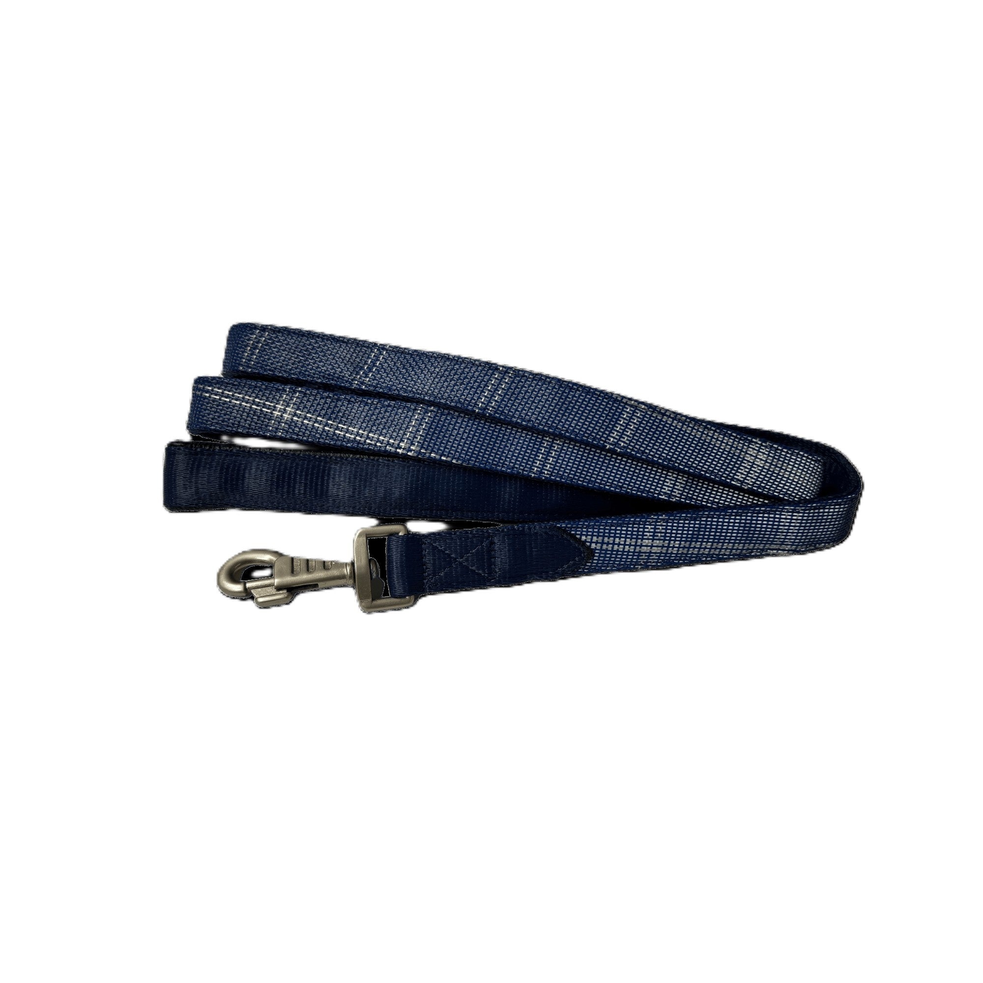 Kensington Nylon Dog Leash with Padding