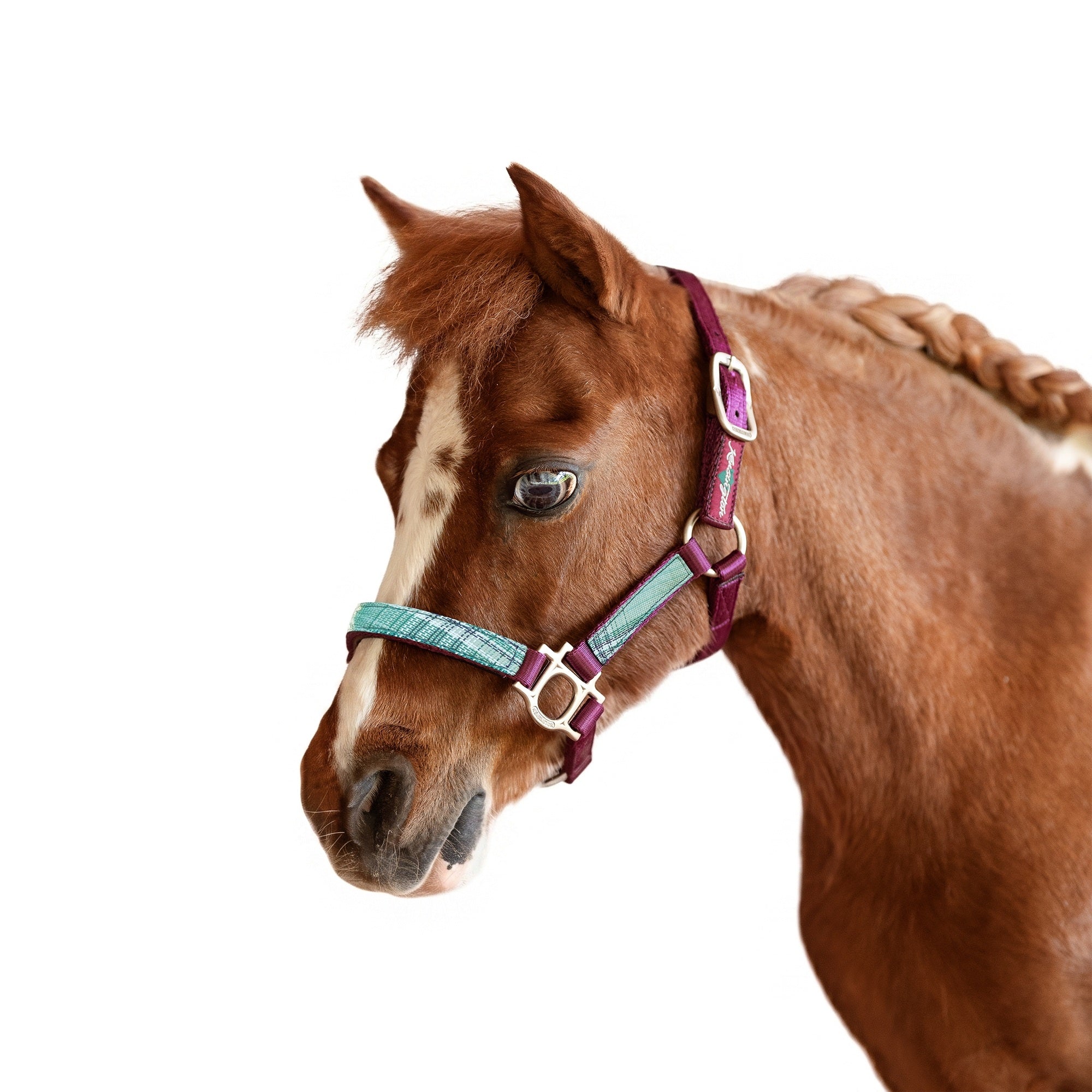 Kensington Mini Reflective Nylon Halter