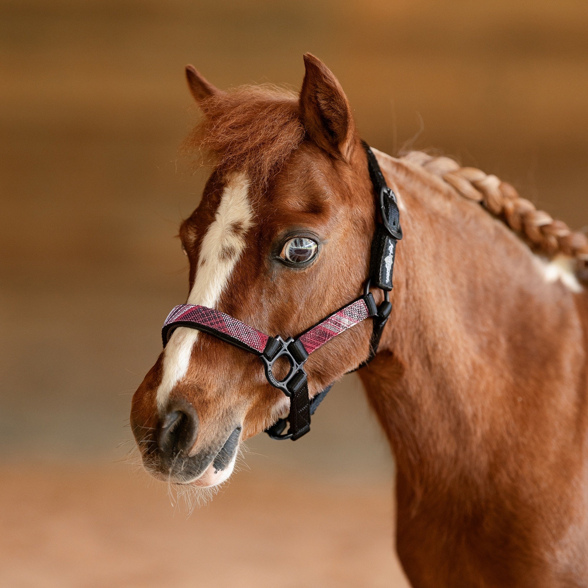 Kensington Mini Reflective Nylon Halter