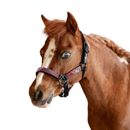 Kensington Mini Reflective Nylon Halter