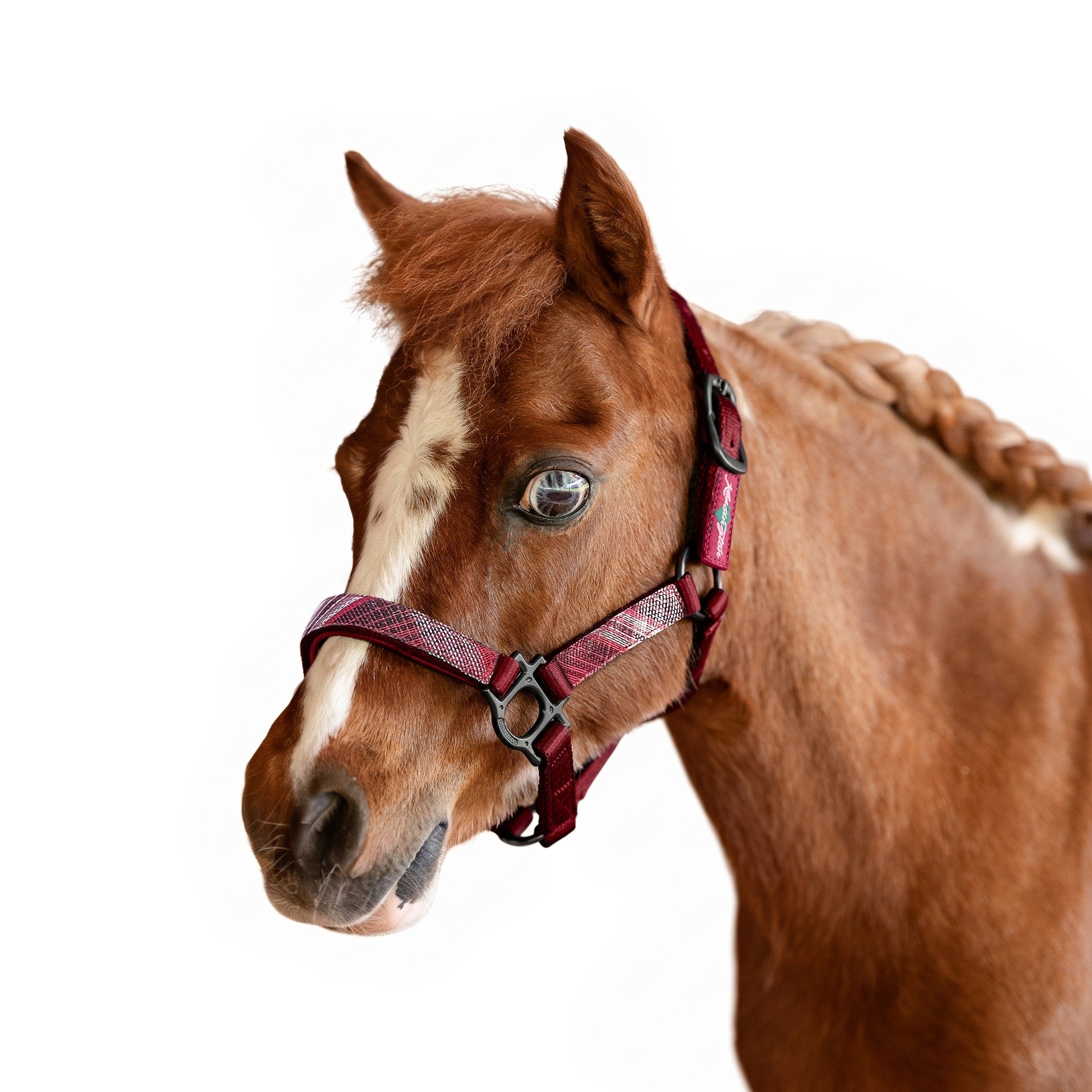 Kensington Mini Reflective Nylon Halter