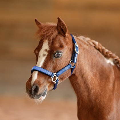 Kensington Mini Reflective Nylon Halter