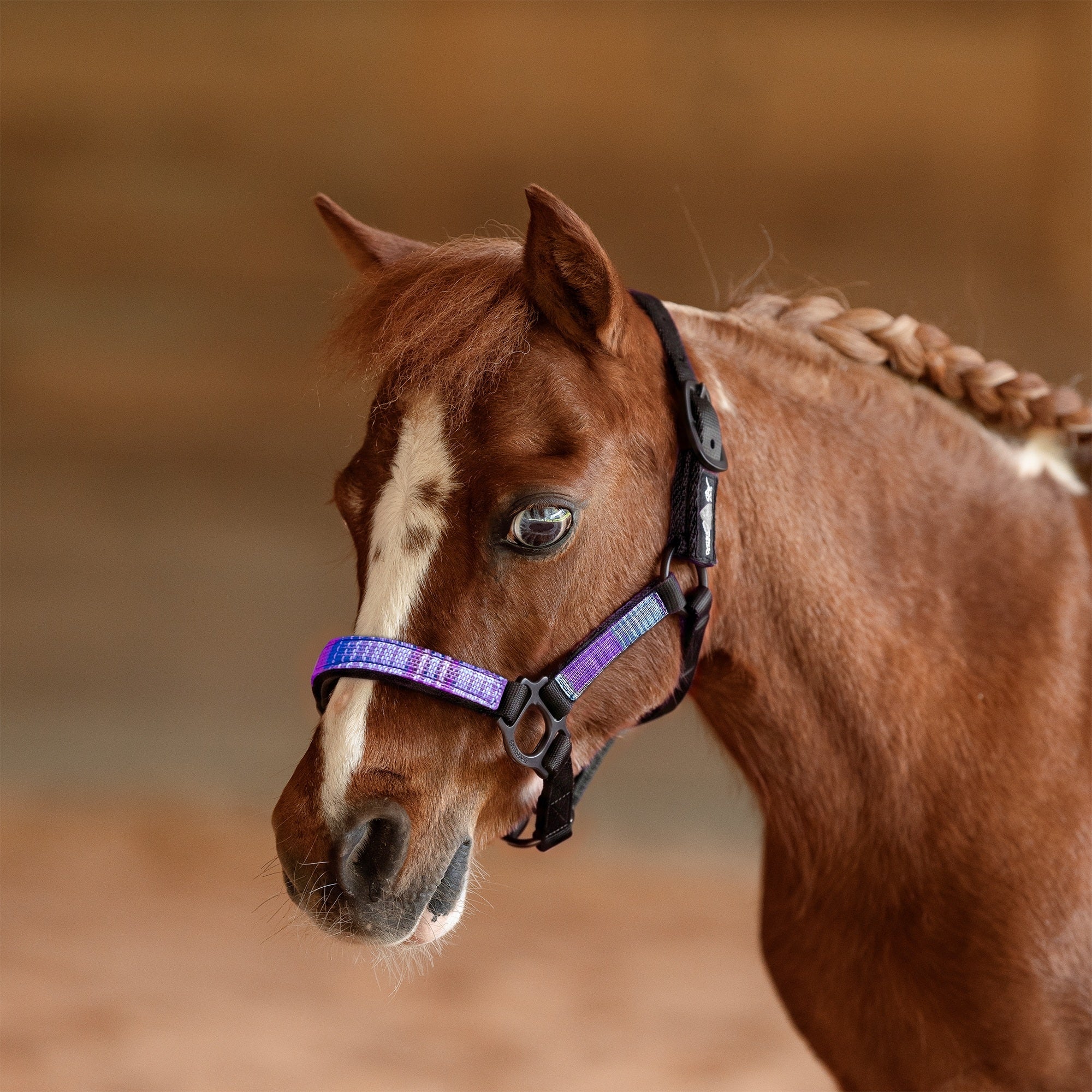 Kensington Mini Reflective Nylon Halter