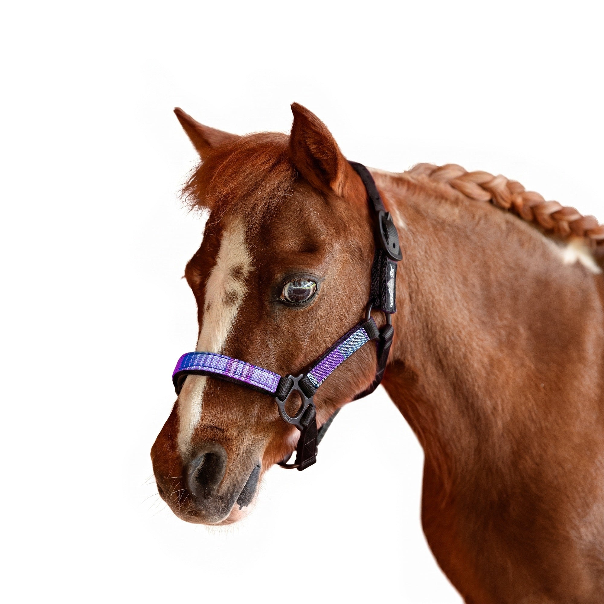 Kensington Mini Reflective Nylon Halter