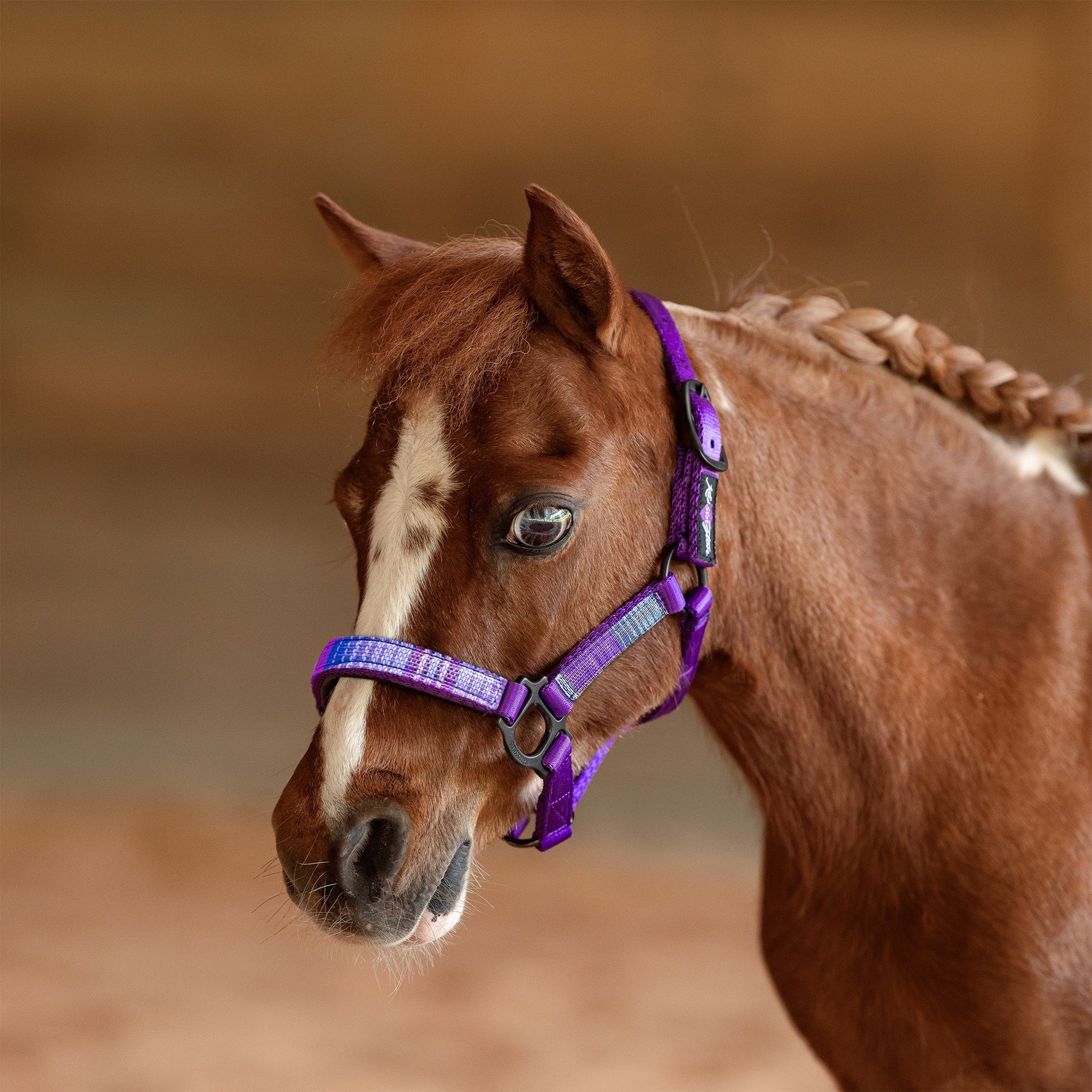 Kensington Mini Reflective Nylon Halter