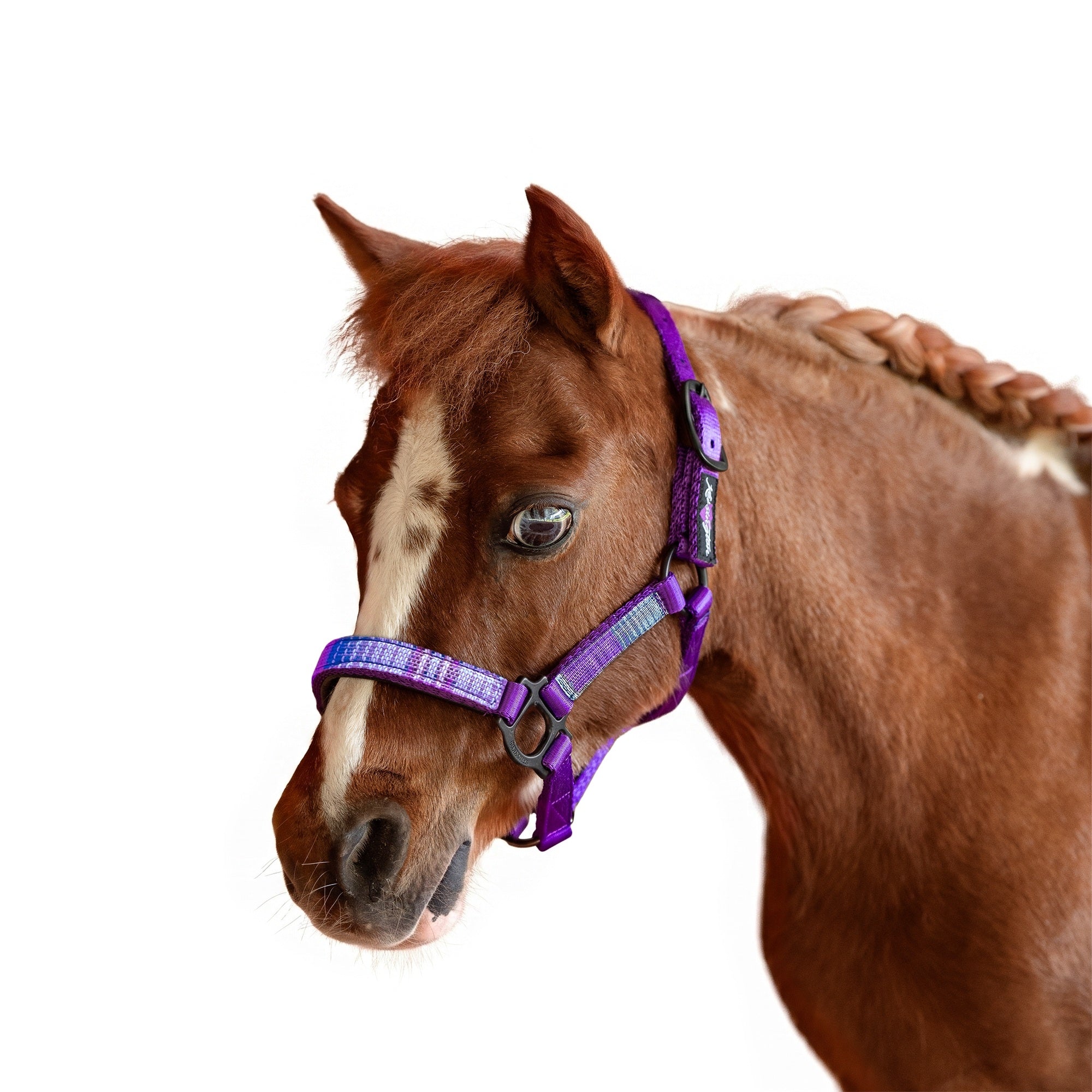 Kensington Mini Reflective Nylon Halter