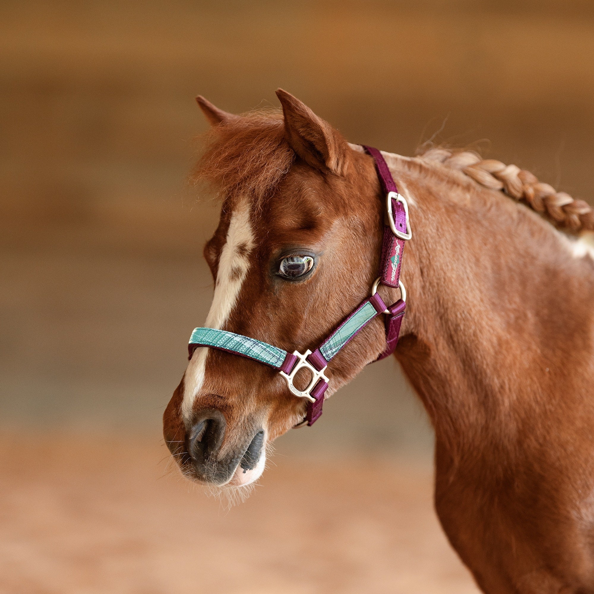 Kensington Mini Reflective Nylon Halter
