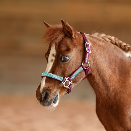 Kensington Mini Reflective Nylon Halter